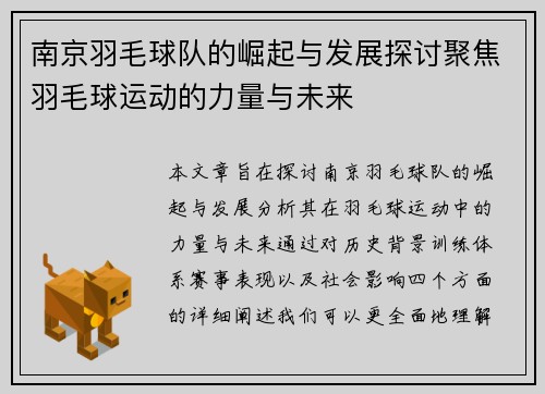 南京羽毛球队的崛起与发展探讨聚焦羽毛球运动的力量与未来
